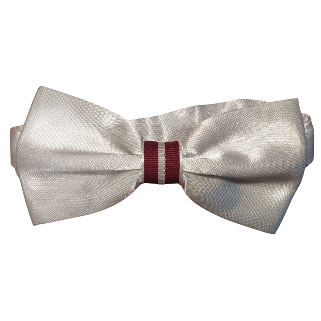 Children's bow tie - for a son or daughter
