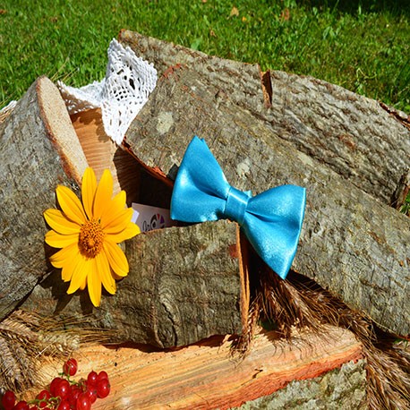 Children's bow tie - for a son or daughter